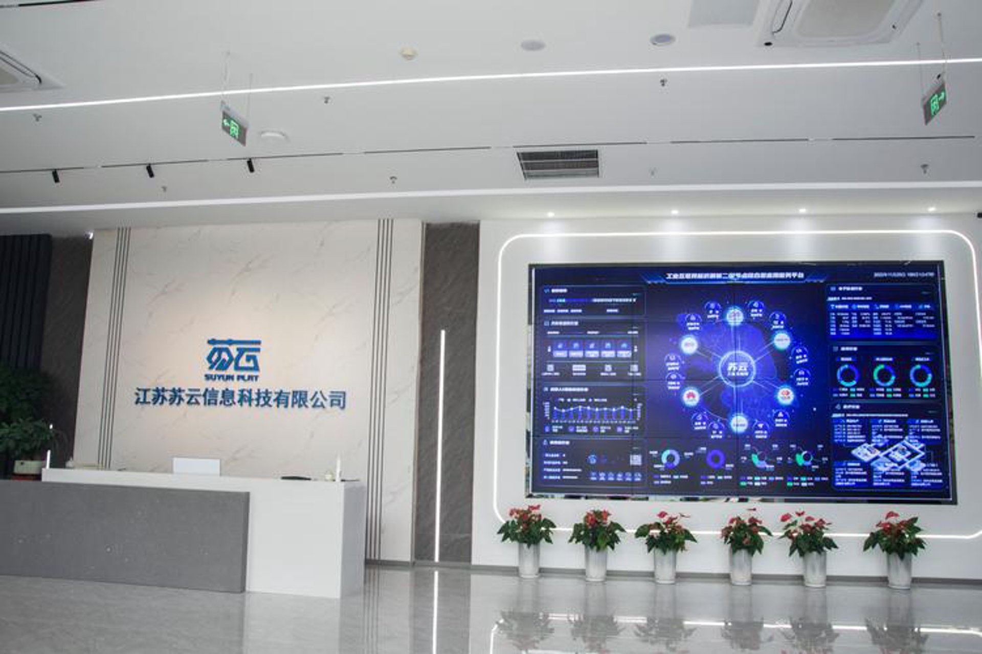 网普科技咨询